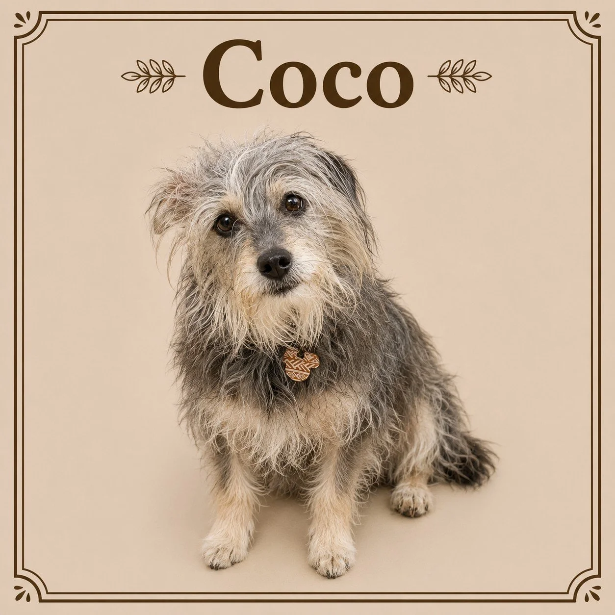 Coco.jpeg