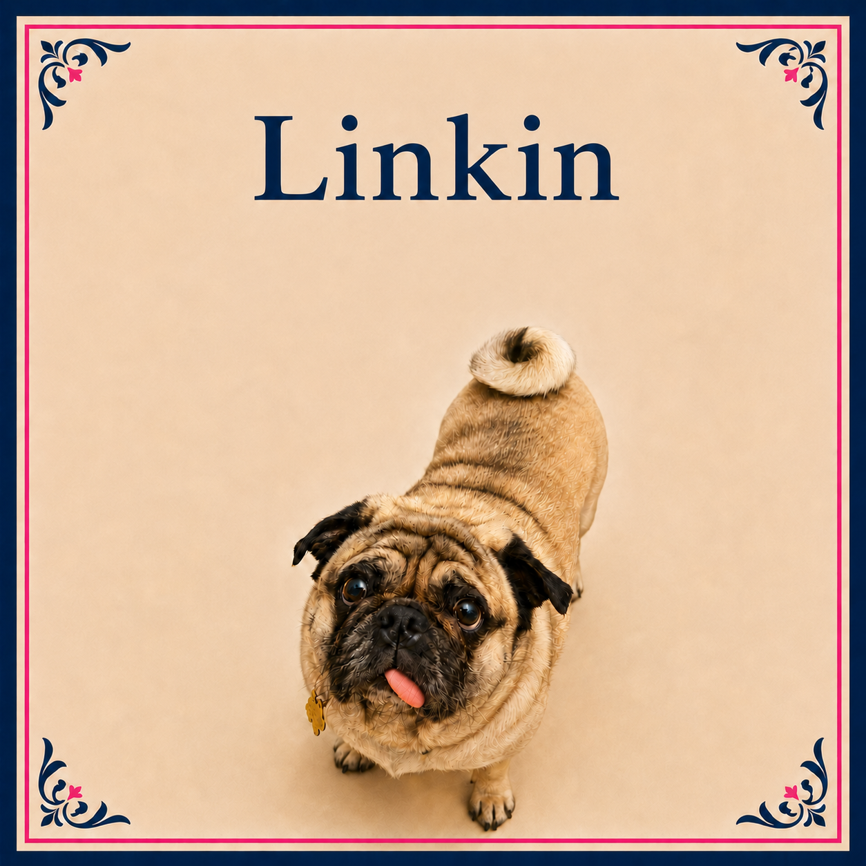 Linkin
