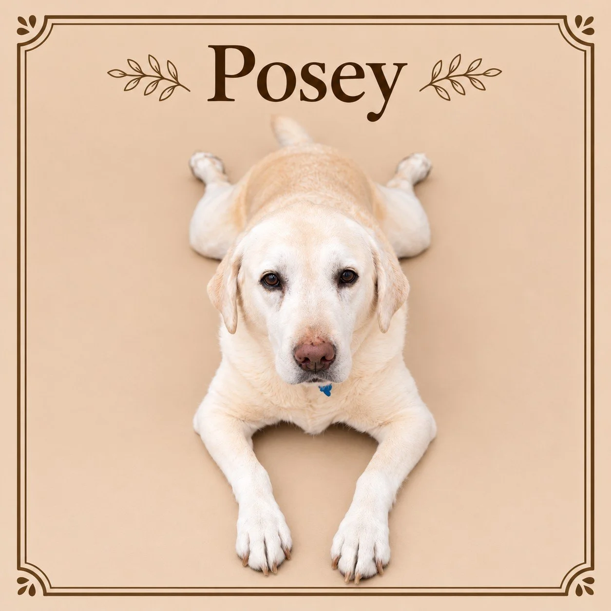 Posey.jpg