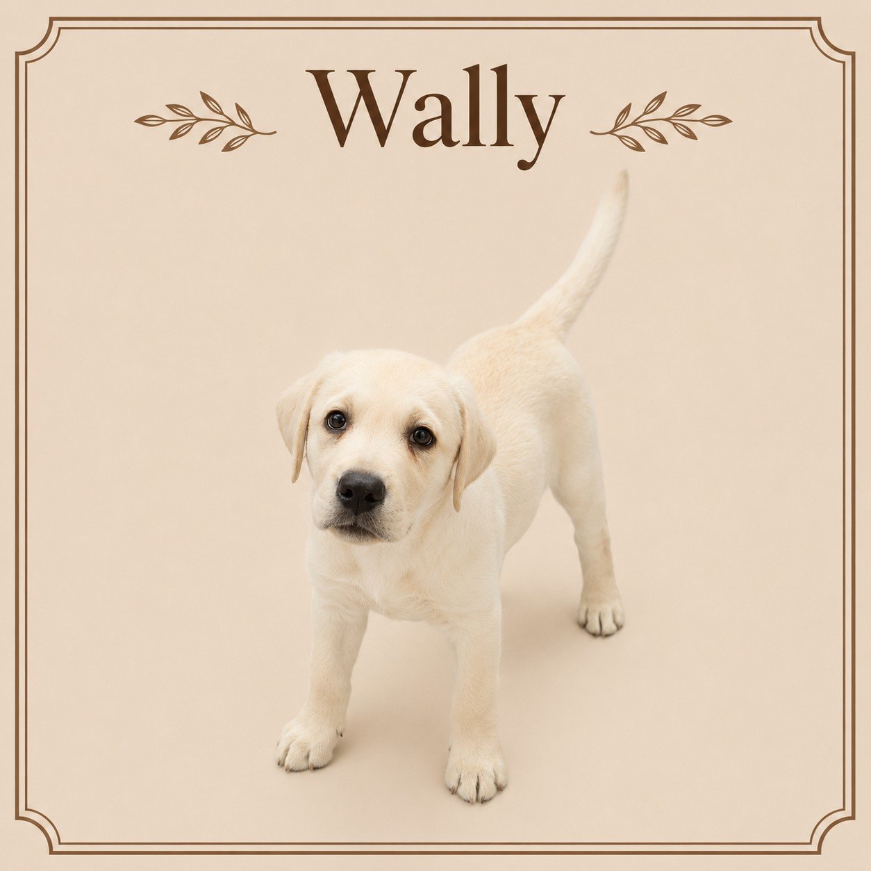 Wally.jpeg