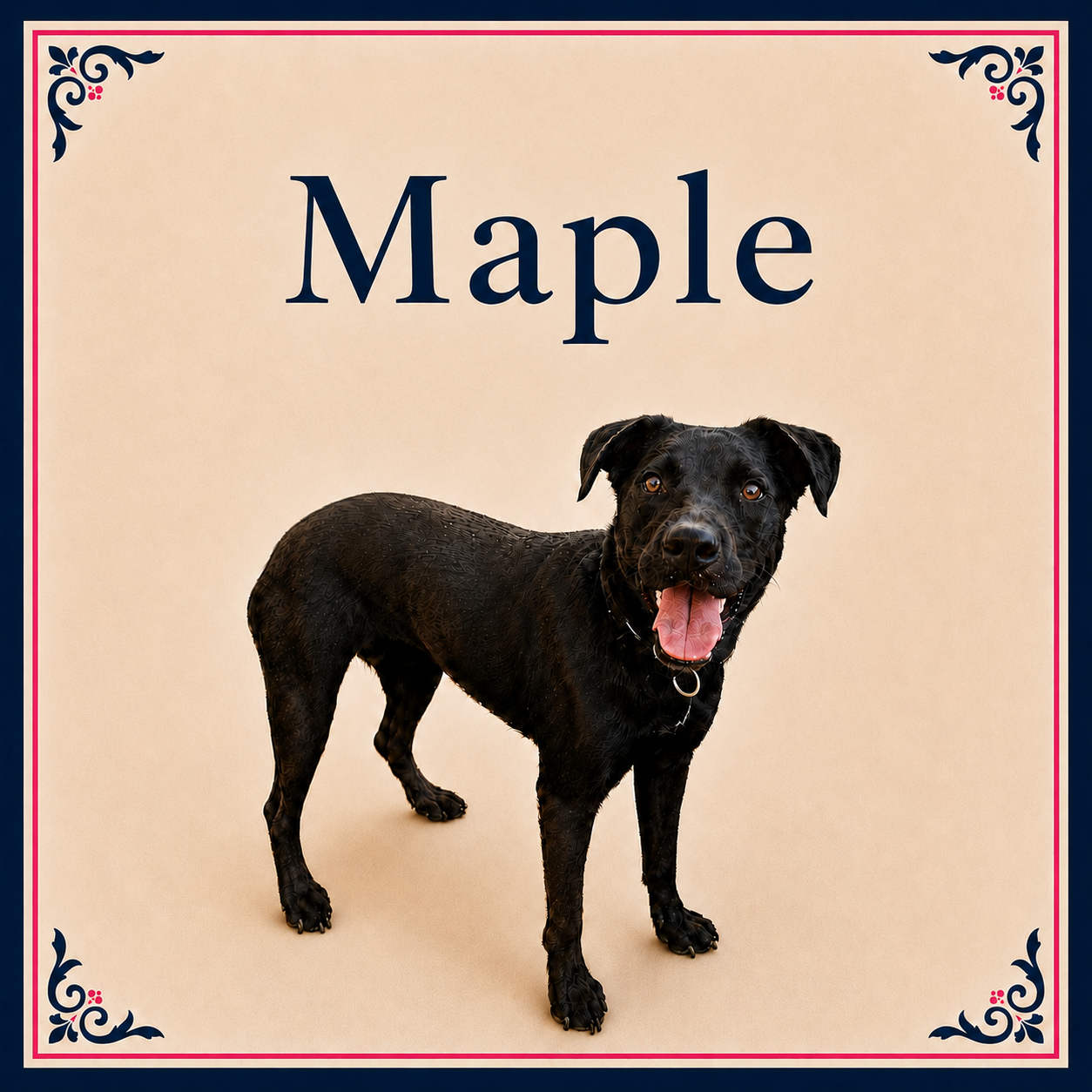 Maple