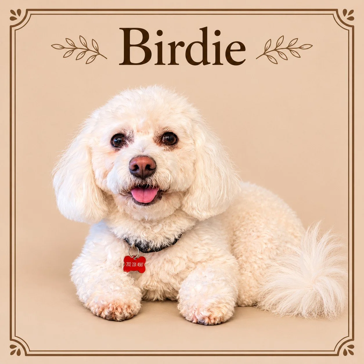 Birdie.jpg