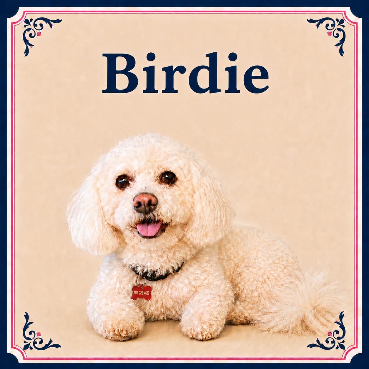 Birdie