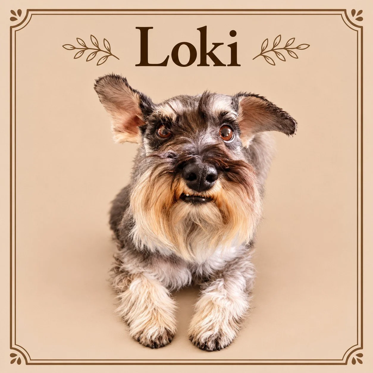 Loki.jpg