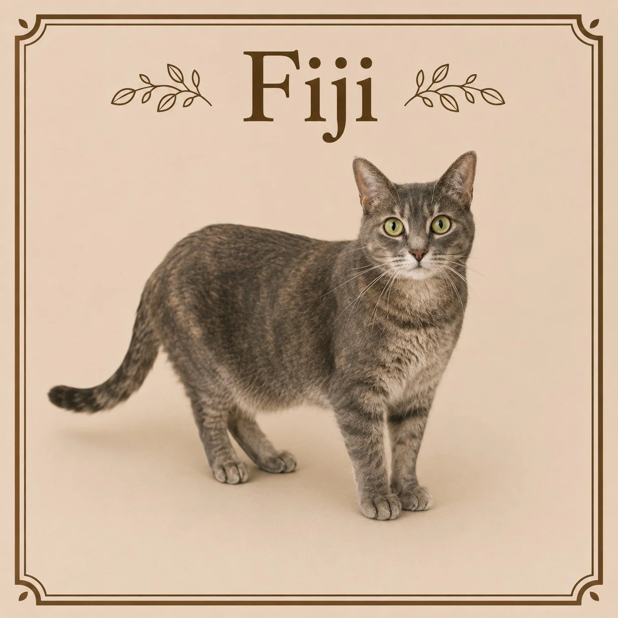 Fiji.jpeg