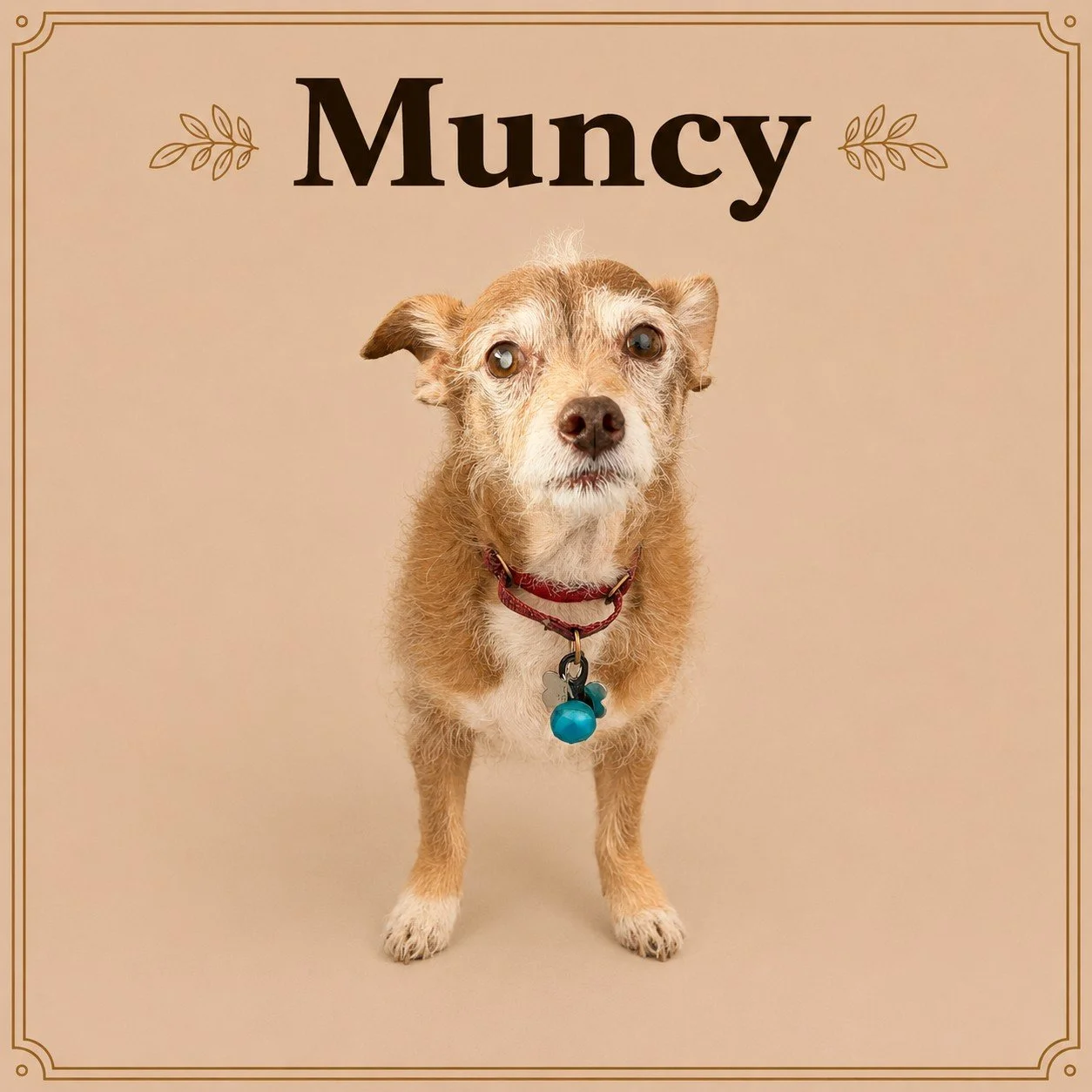 Muncy.jpeg