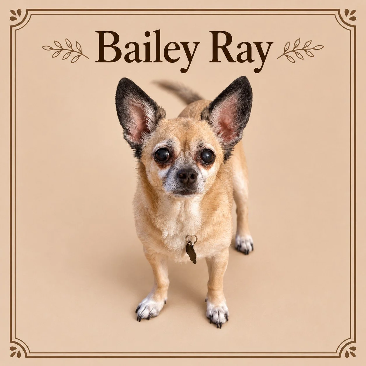 Bailey Ray.jpg