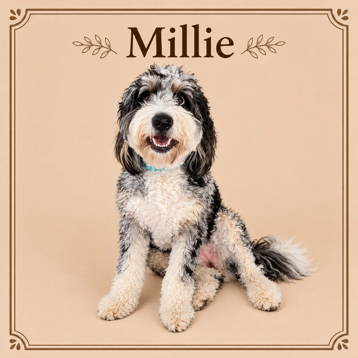 Millie.jpg