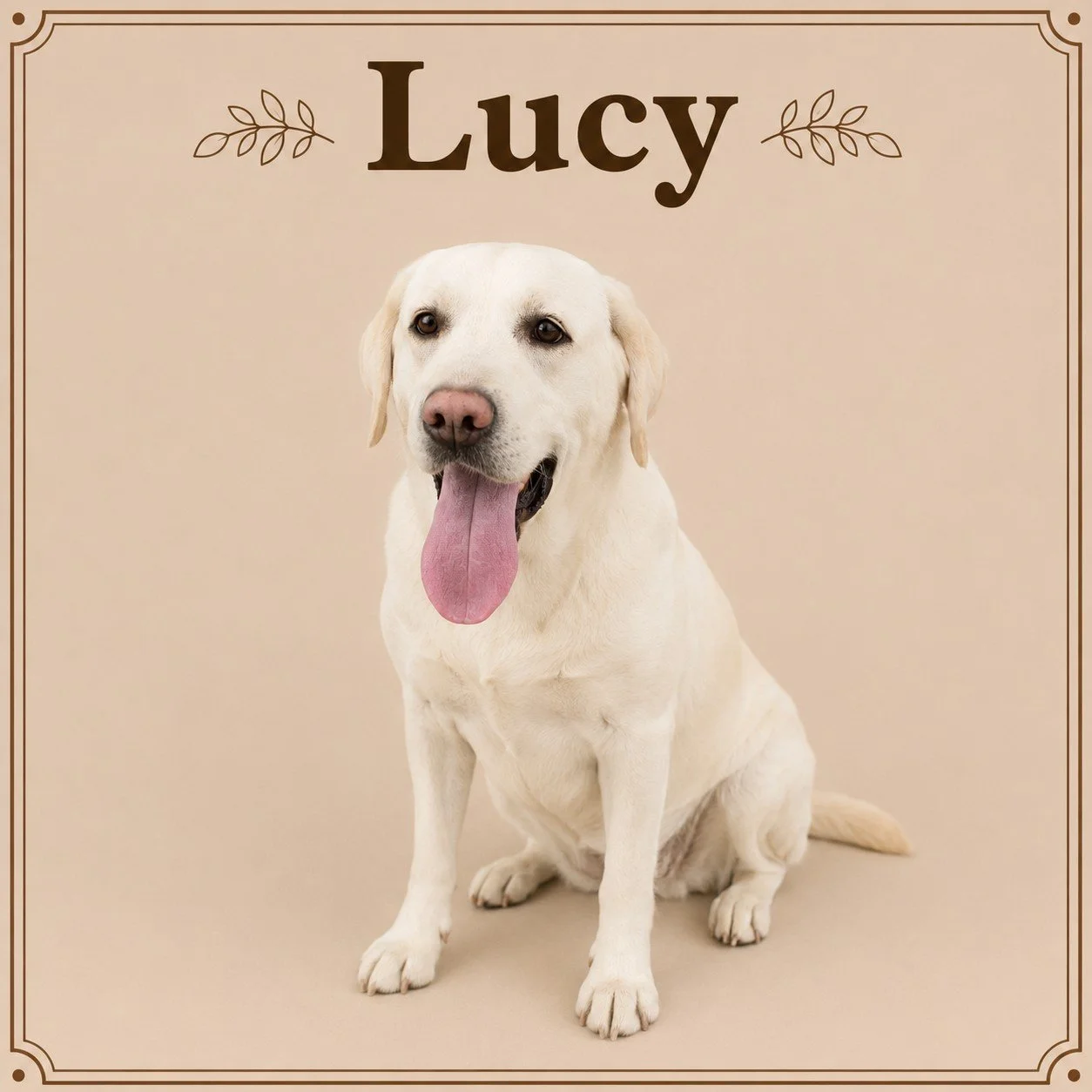 Lucy.jpeg