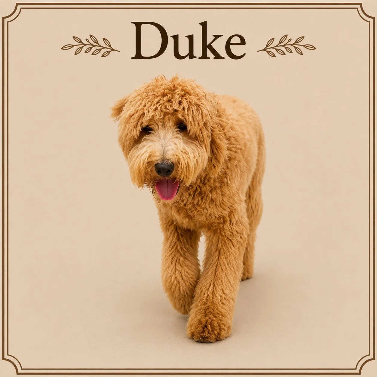 Duke.jpeg