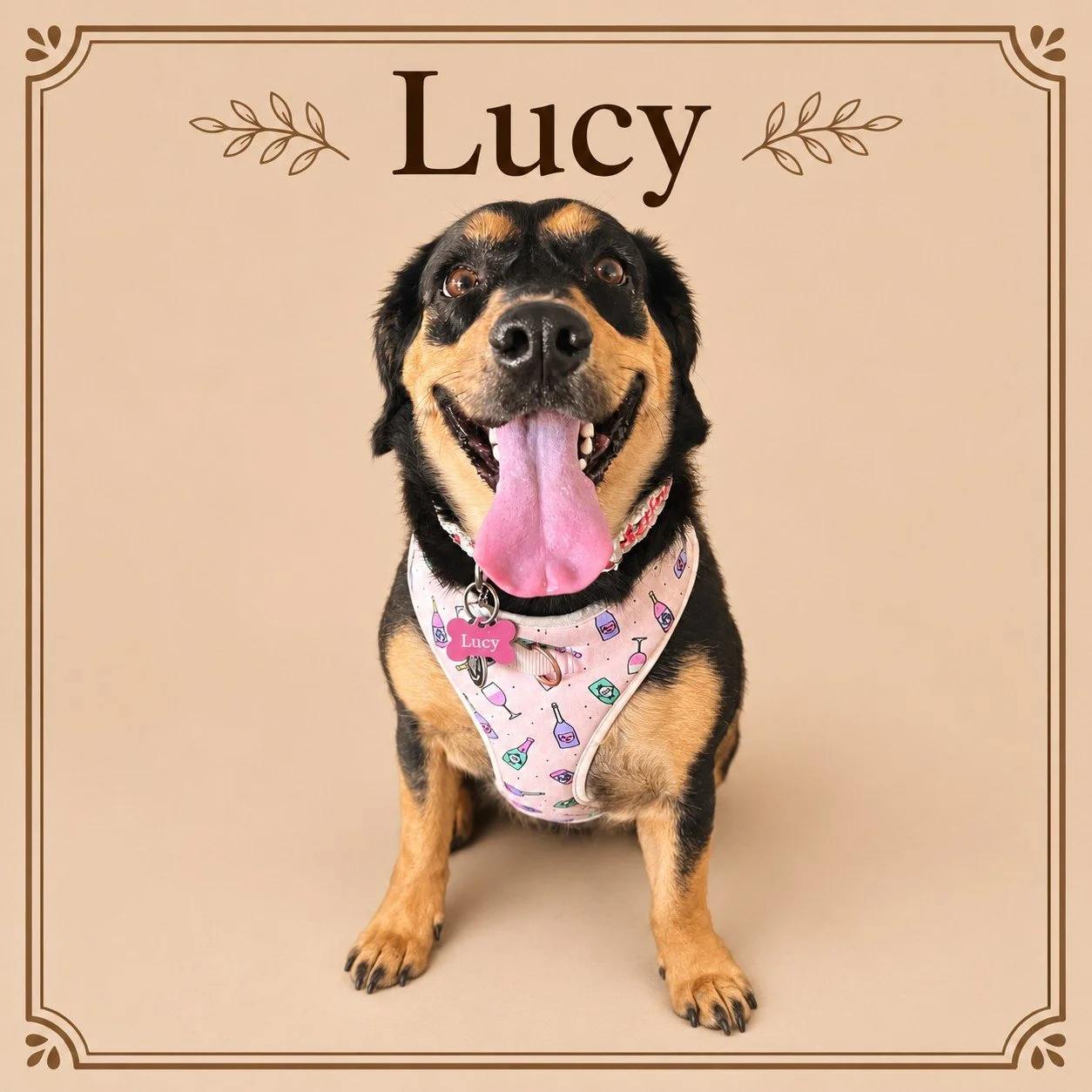 Lucy 2.jpg