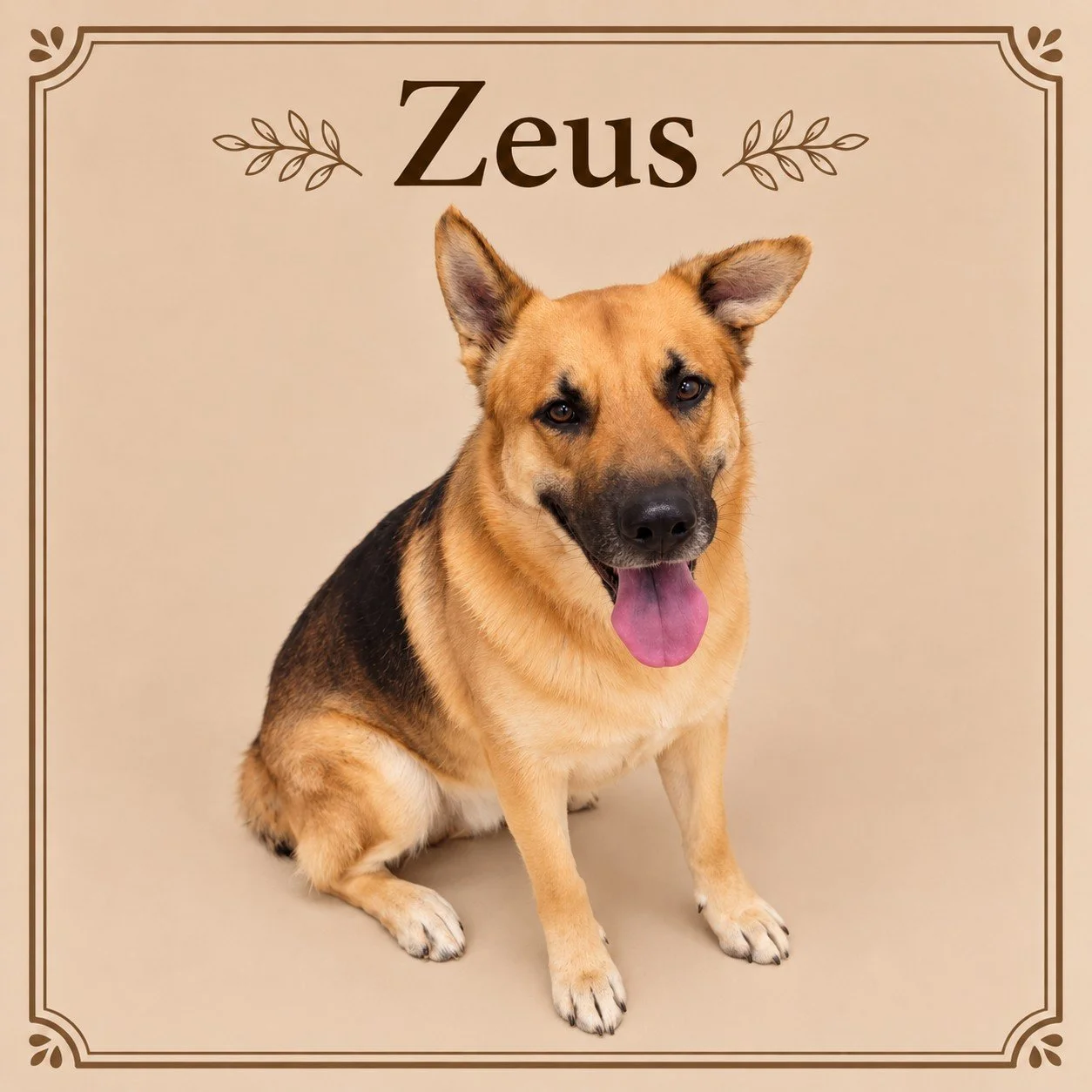Zeus.jpg