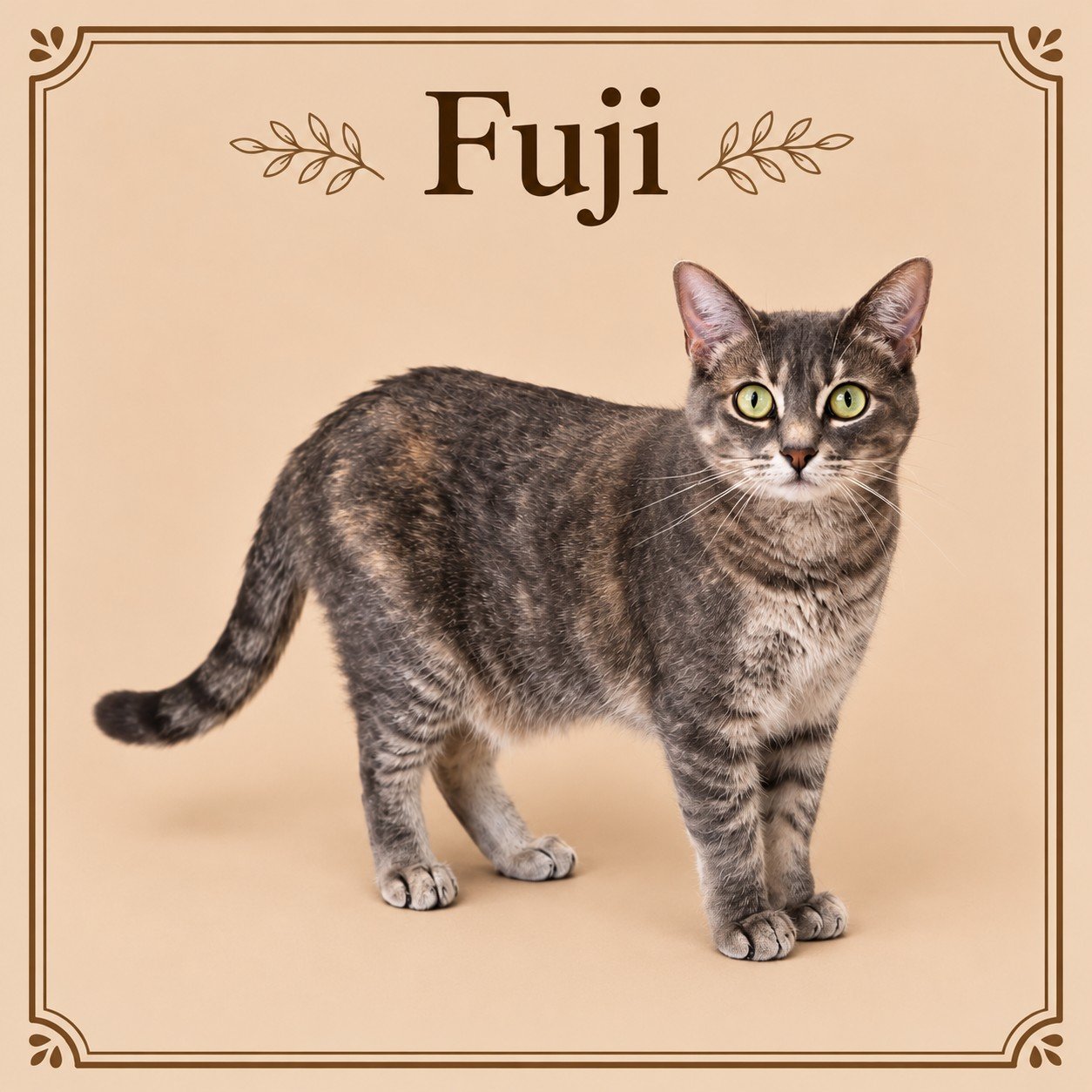 Fuji.jpg