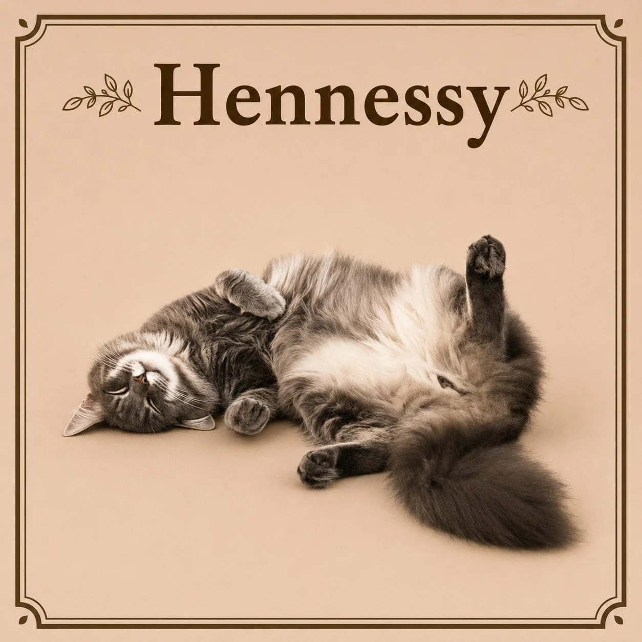 Hennessy.jpeg