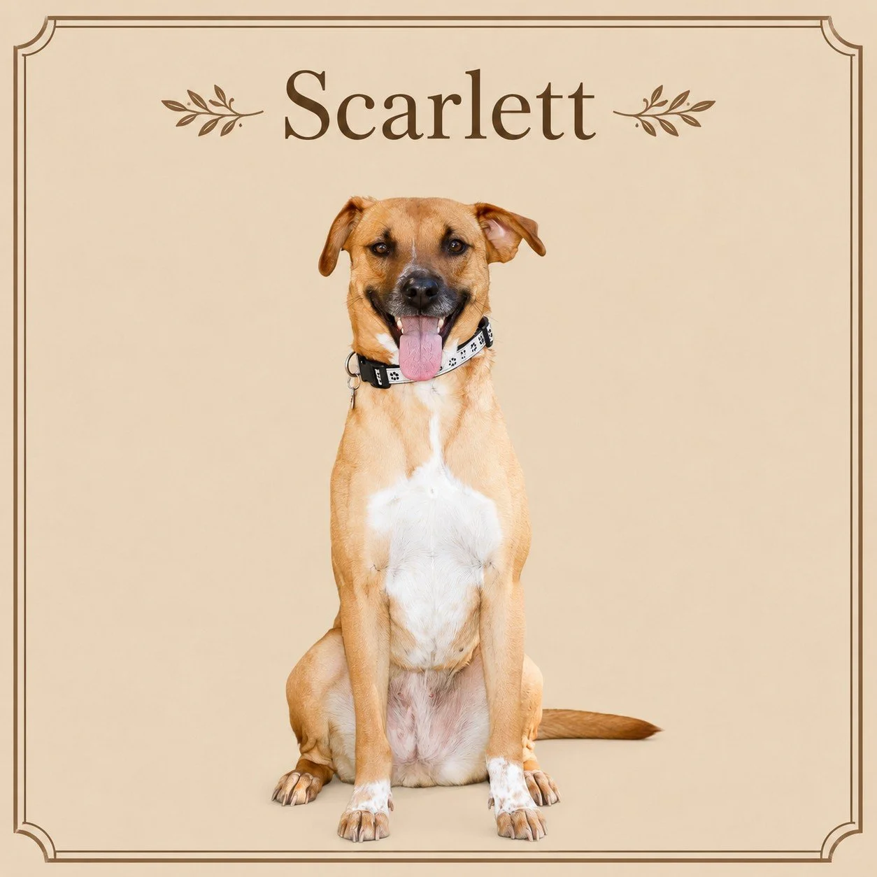 Scarlett.jpeg