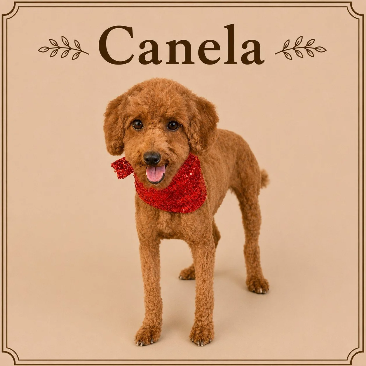 Canela (2).jpeg