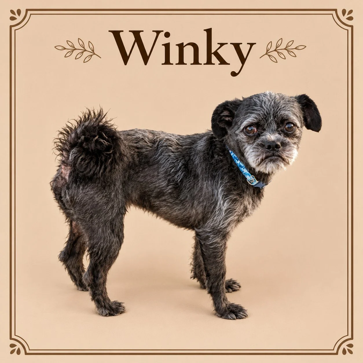 Winky.jpg