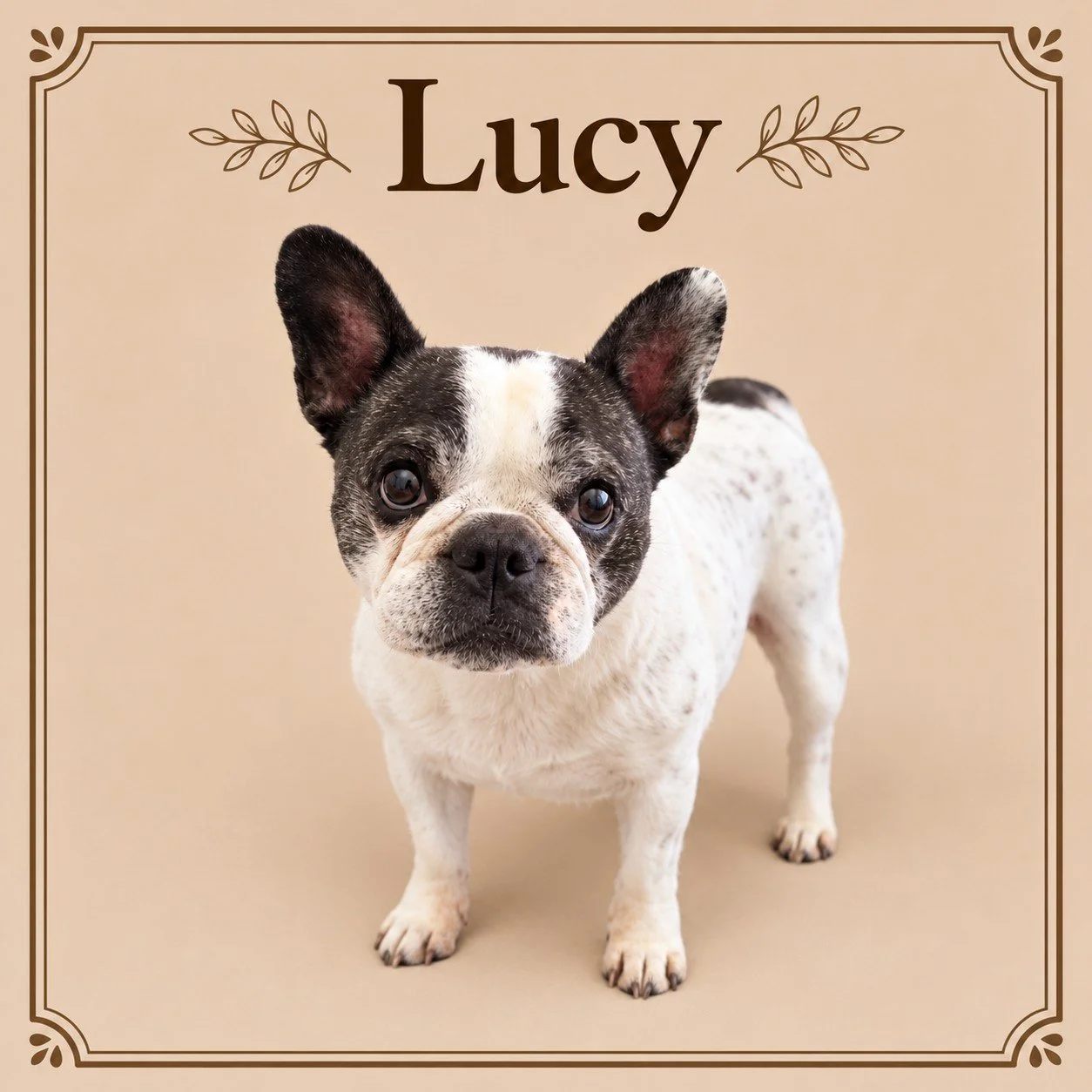 Lucy 3.jpg