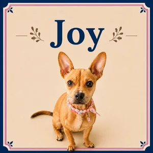 Joy