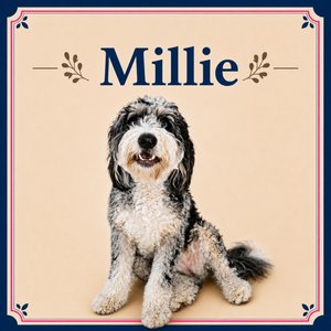 Millie