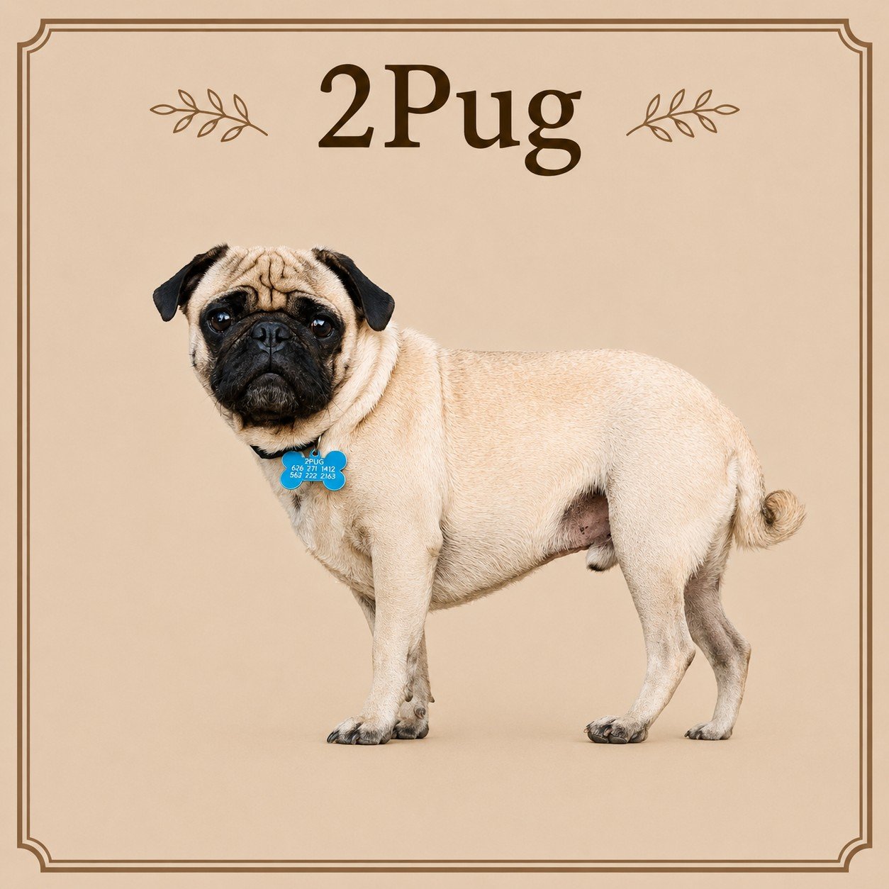 2Pug.jpeg