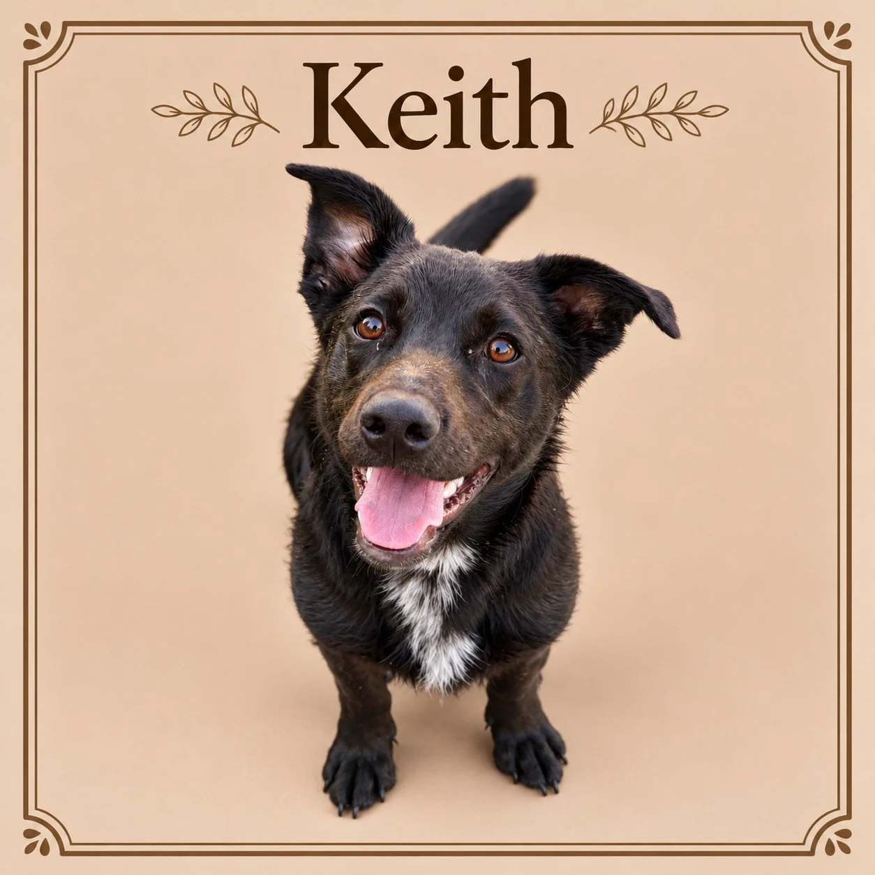 Keith 2.jpg