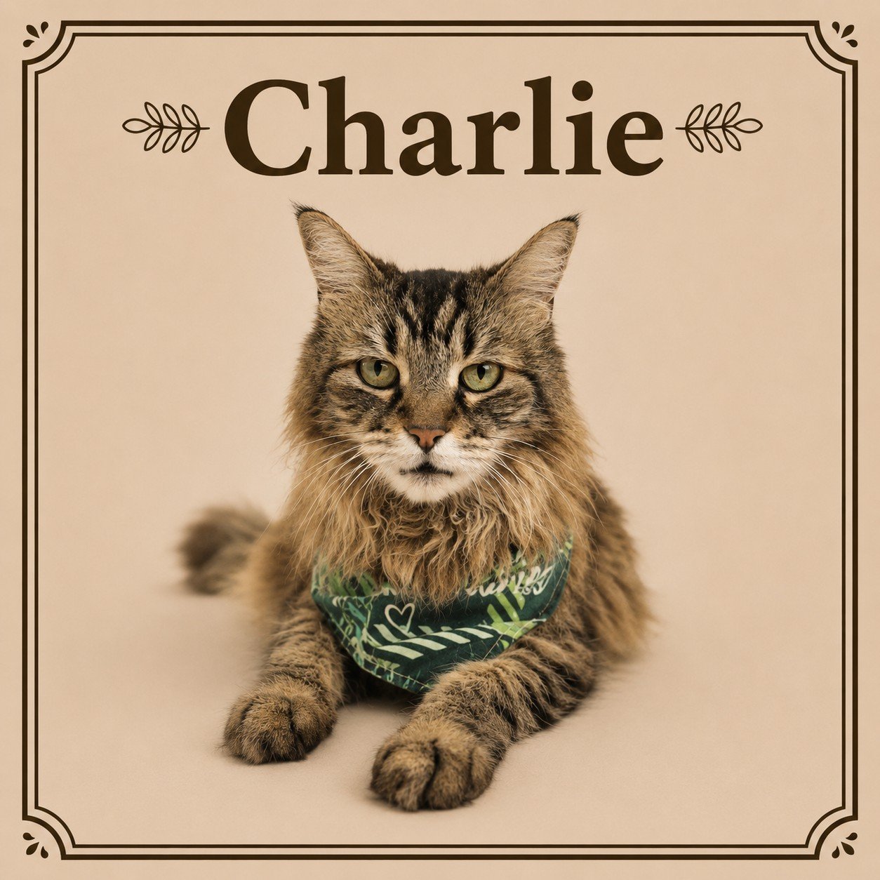 Charlie (4).jpeg