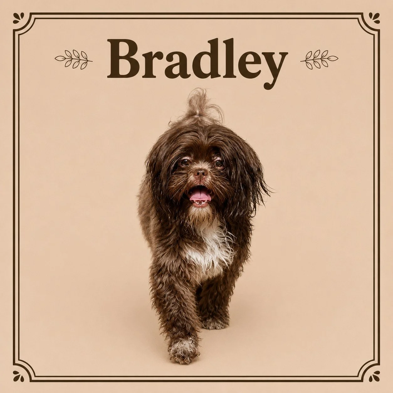 Bradley.jpeg