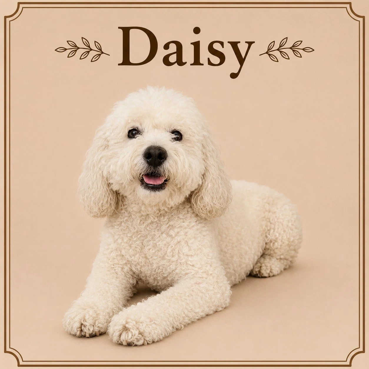 Daisy.jpeg