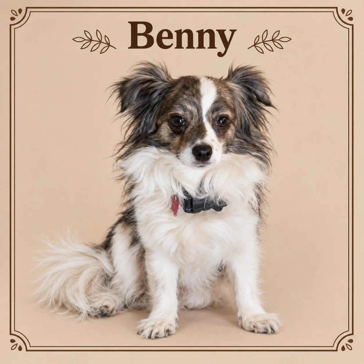 Benny.jpg