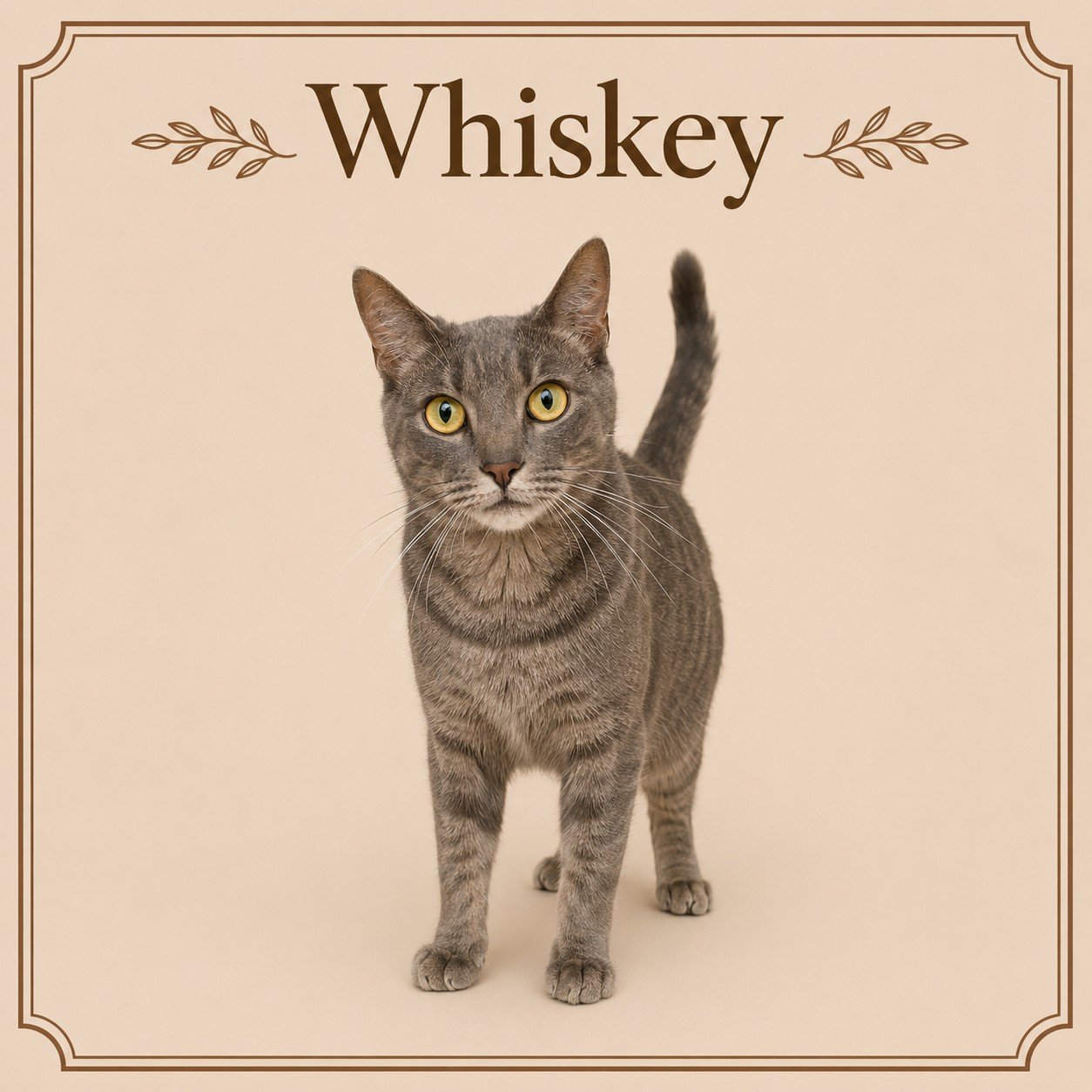 Whiskey (2).jpeg