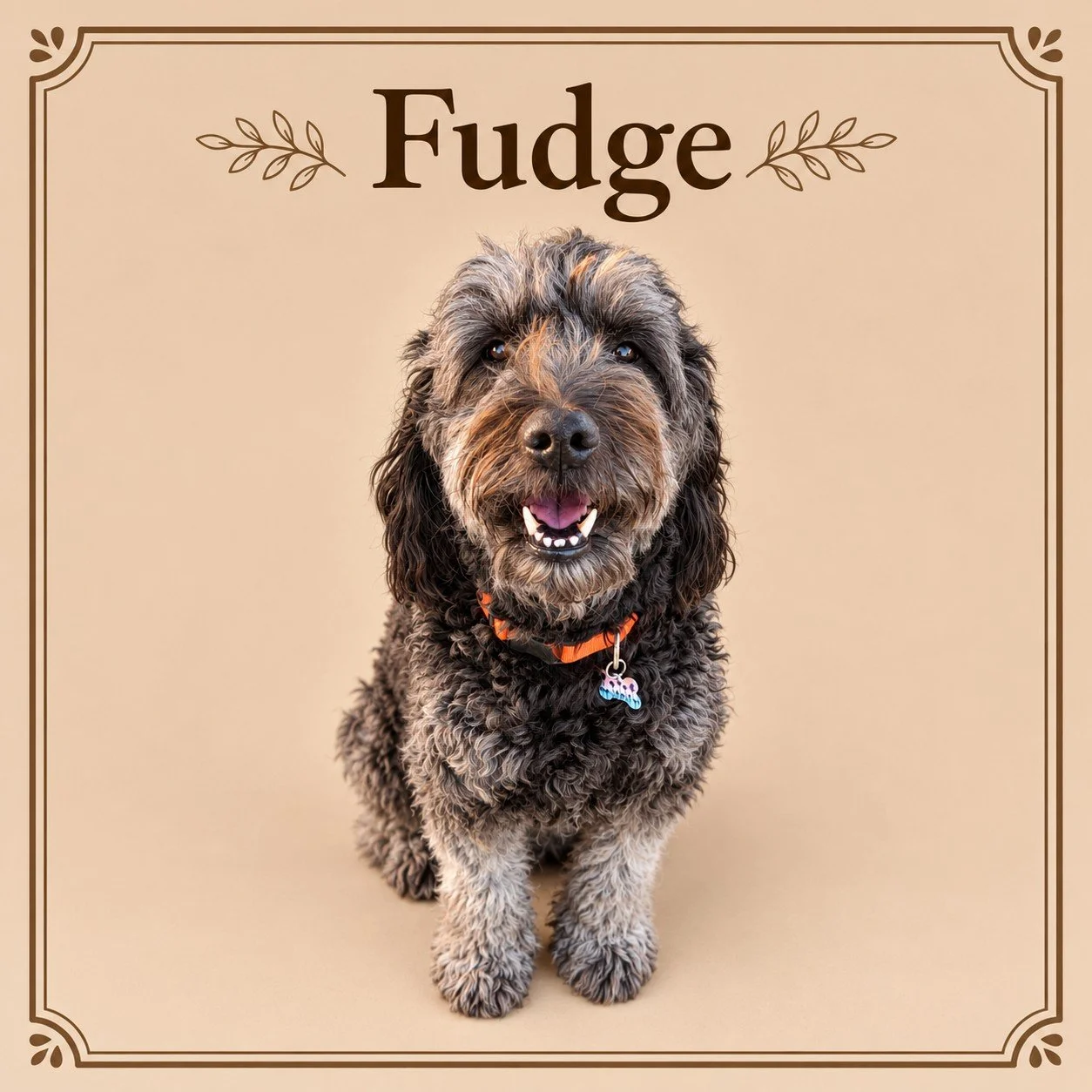 Fudge.jpg