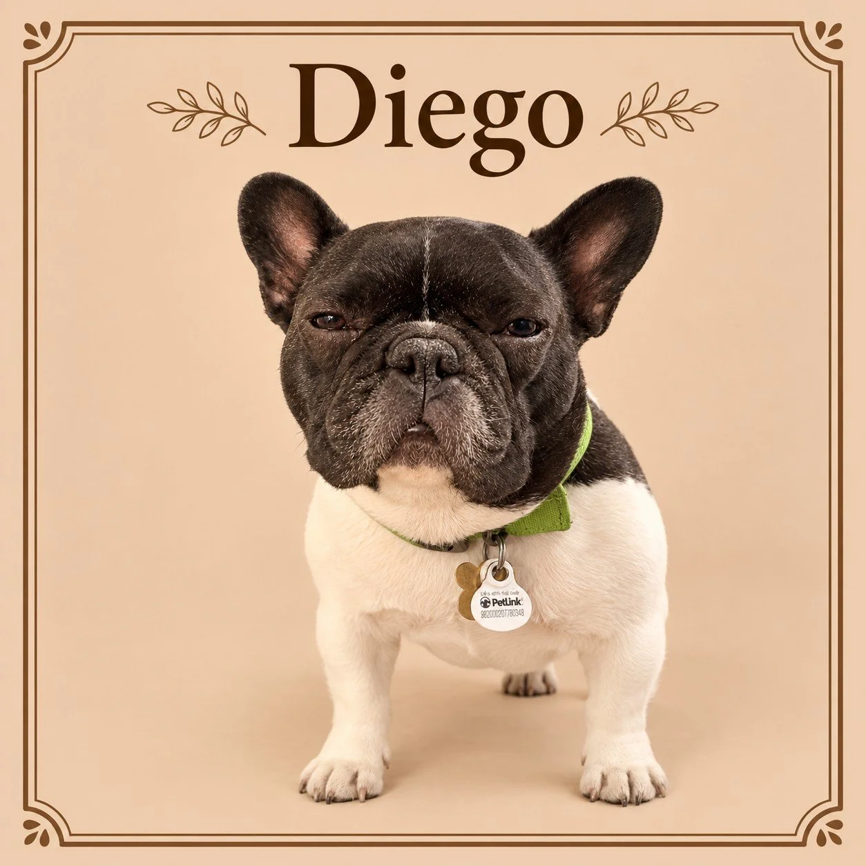 Diego.jpg