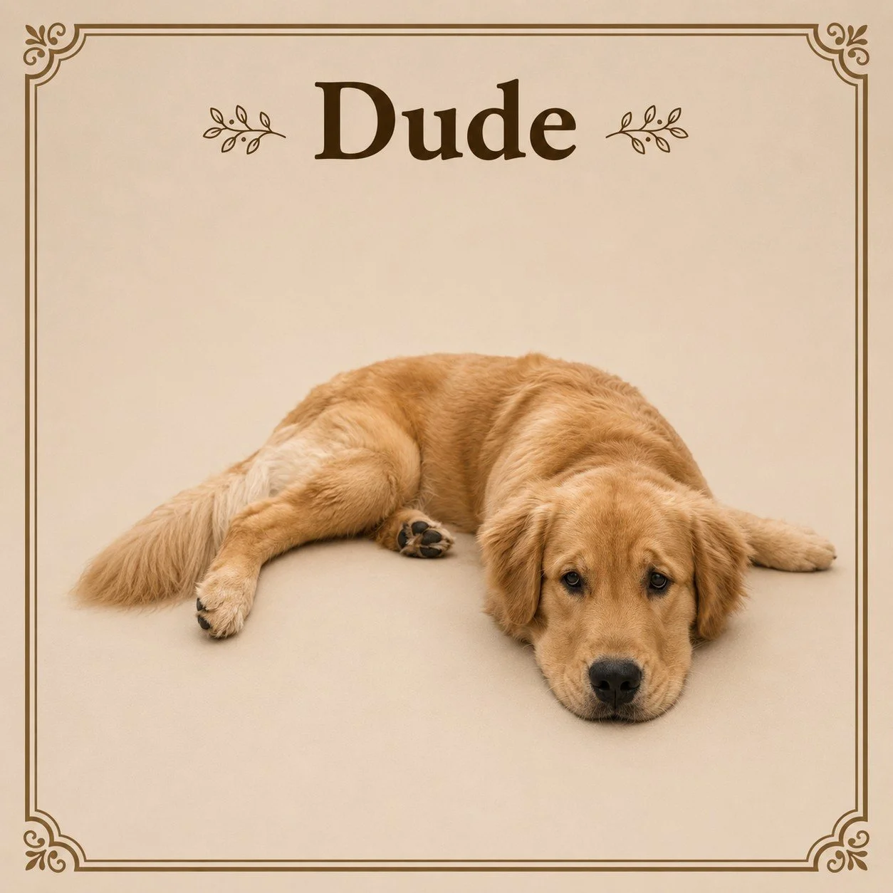 Dude.jpeg