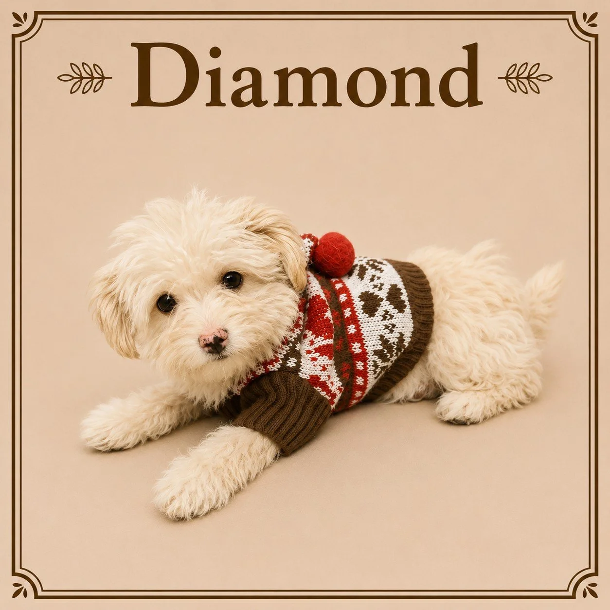 Diamond.jpeg