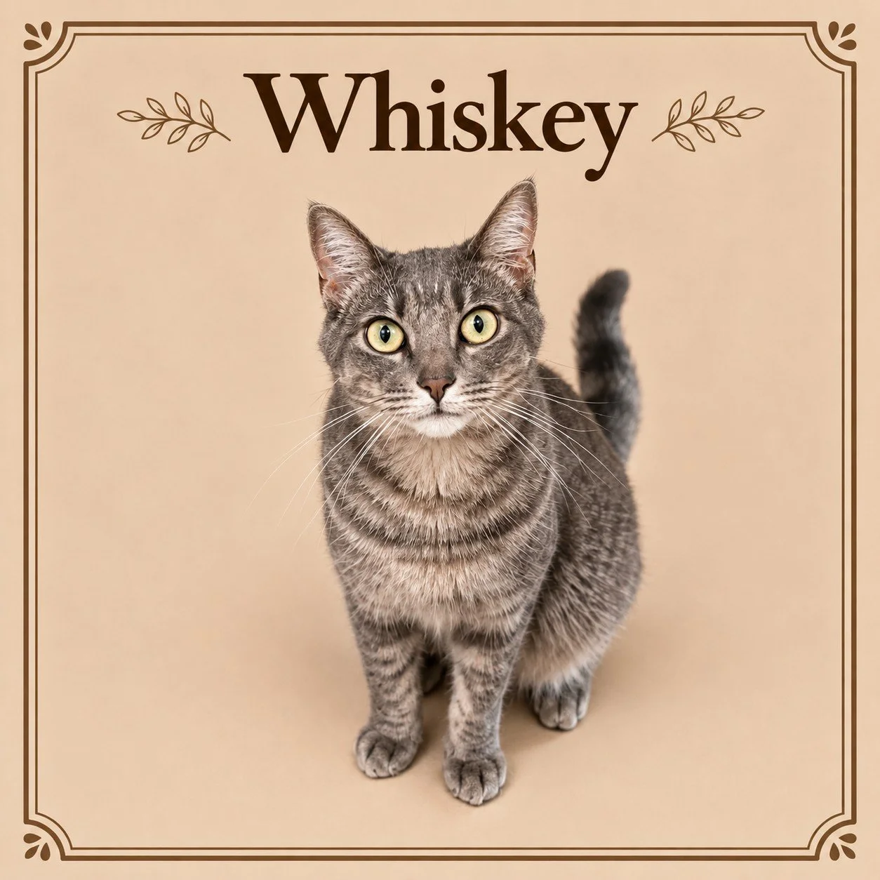 Whiskey.jpg