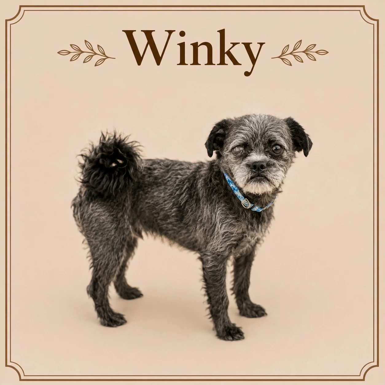 Winky.jpeg