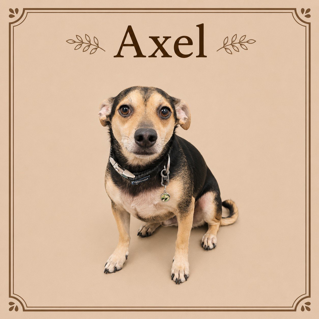 Axel.jpeg