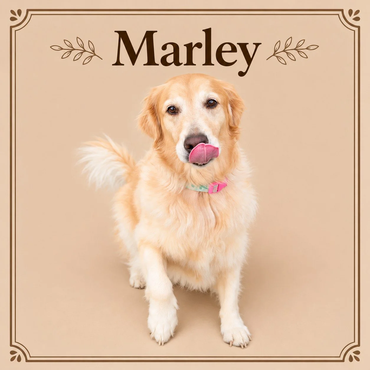 Marley.jpg