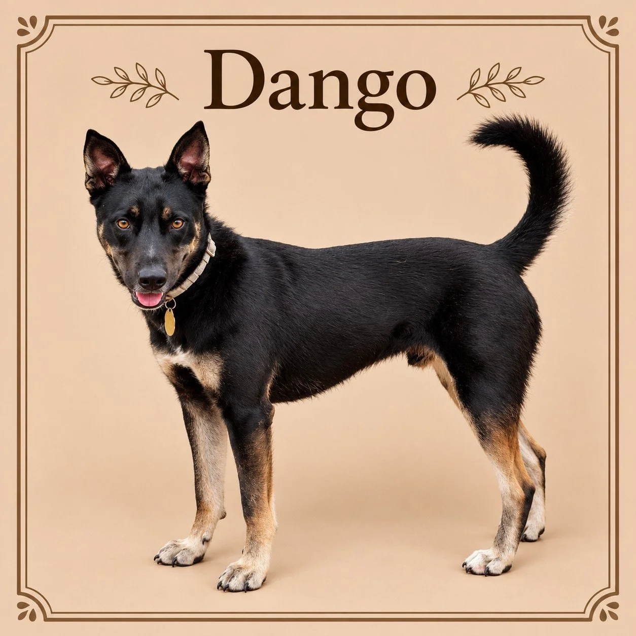 Dango.jpg