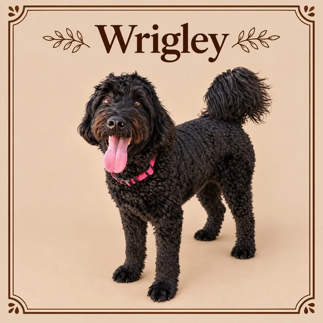 Wrigley.jpg