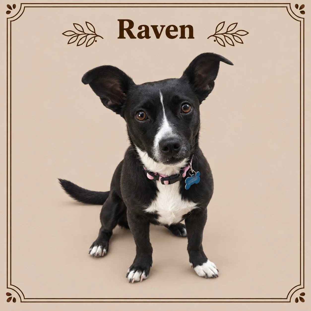 Raven.jpg