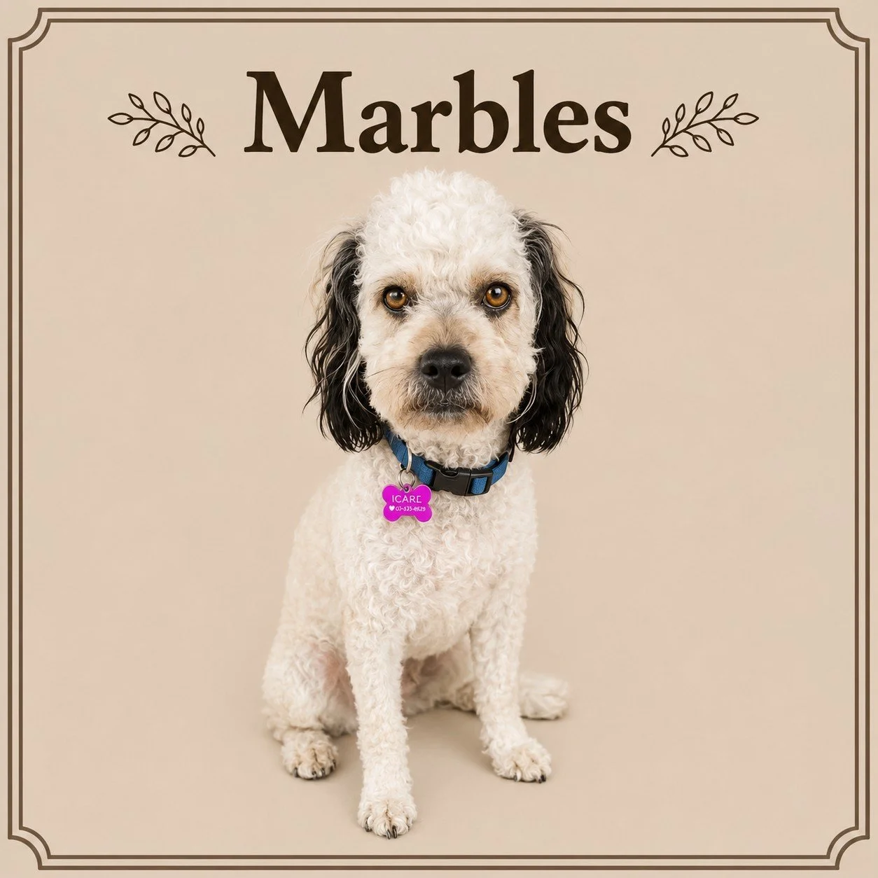 Marbles.jpeg