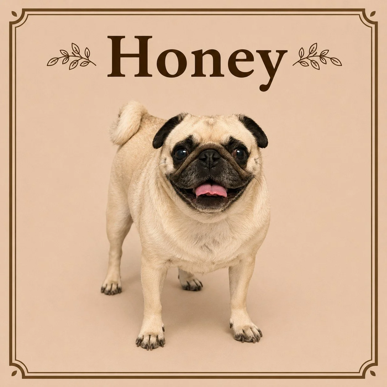 Honey (2).jpeg