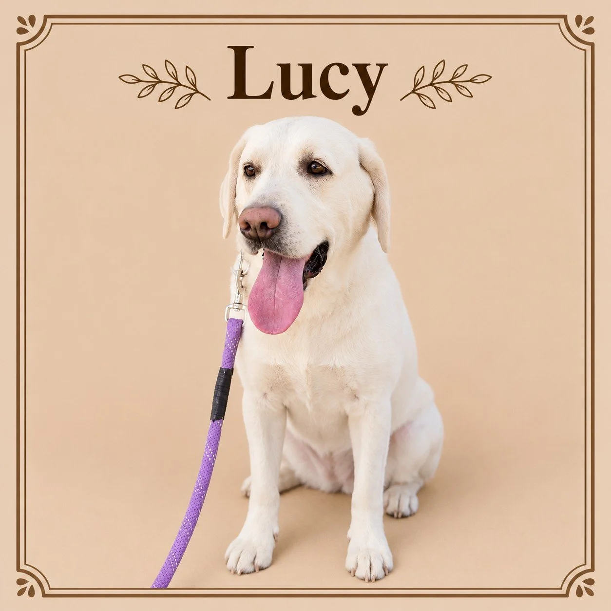 Lucy.jpg