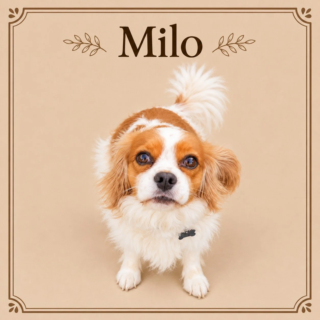 Milo.jpg