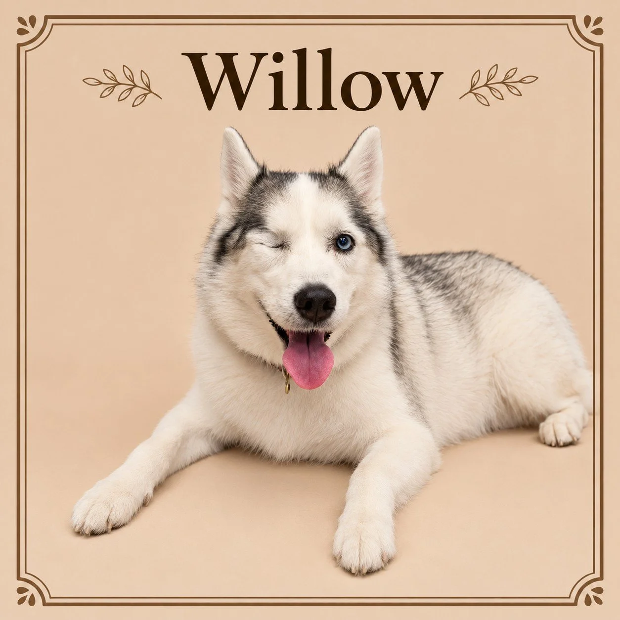 Willow.jpg
