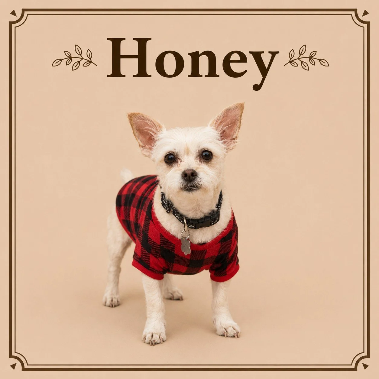 Honey.jpeg
