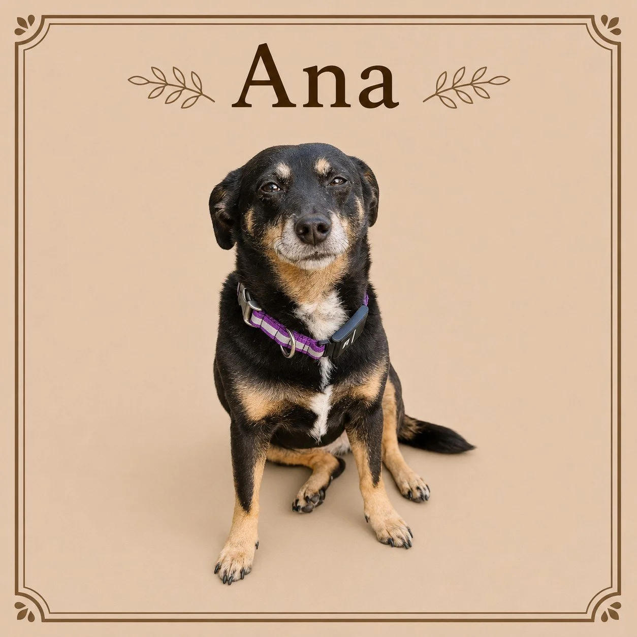 Ana.jpeg