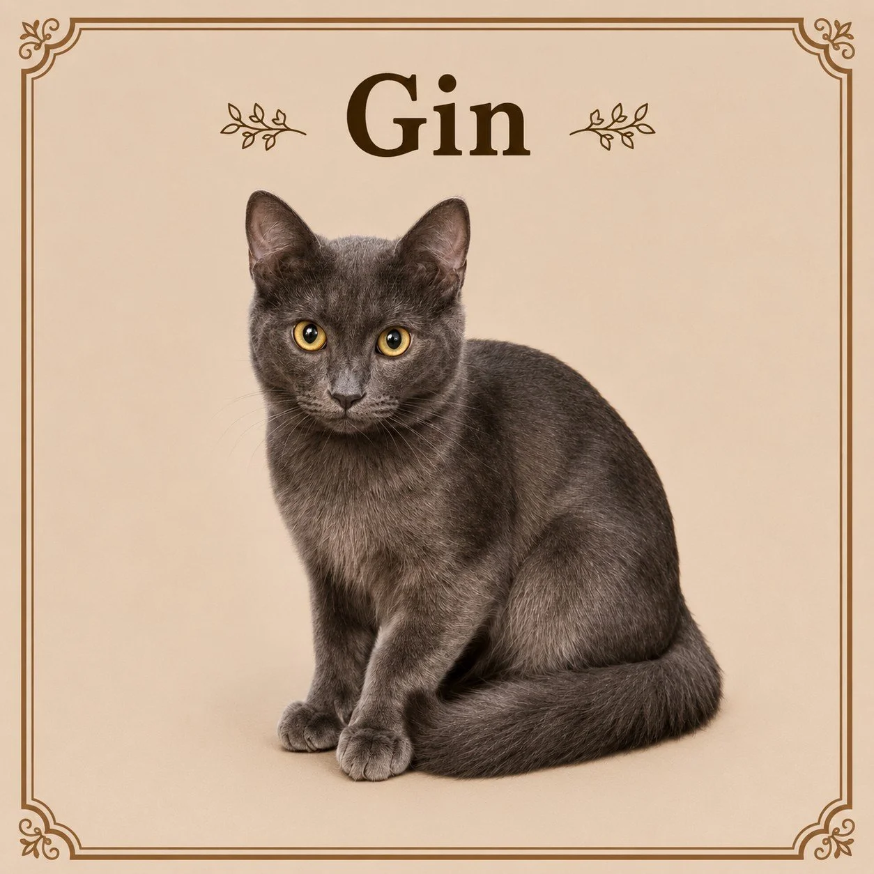 Gin.jpeg